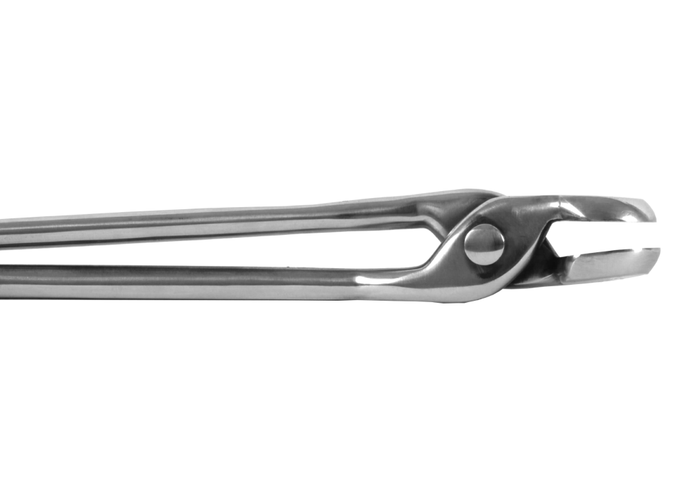 FARRIERS TONGS STAINLESS STEEL